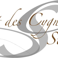 Art Swan Studio