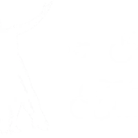 Ballet School Publier Les Amis De La Danse