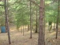 Aude paintball