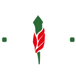 Burntwood Rugby Club
