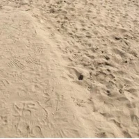 Saunton Sands Vista