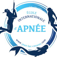 Ecole Internationale des Sirènes ( Mermaid )