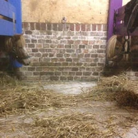 Le Buissonnier Equestrian Center