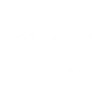 Ultimate Quantum Mind