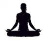 Dundalk Yoga Collective