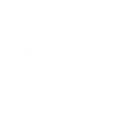 Shut Up & Dance
