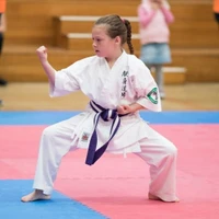 Kenshin Karate Langwarrin