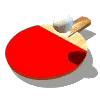 Toulouse Patte d'Oie Table Tennis