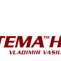 Systema Russian Martial Art by Vladimir Vasiliev