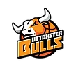 Uttoxeter Bulls Basketball Club