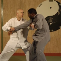 Fa Taiji Club Ambc