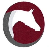 TOFT ARABIANS