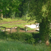 Puyravaud France carp fishing lakes