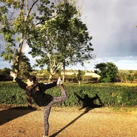 movement medicine
