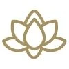 Clean Yoga Studio