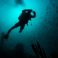 Tasmanian Divers - North