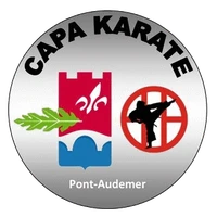 Capa Karaté