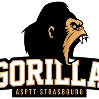 Gorilla Strasbourg - Football Américain