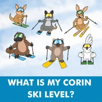 Corin Forest Mountain Resort