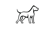 Dublin Dogos Rugby Club