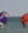 The Beach Watersports