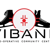 Vibank Rink