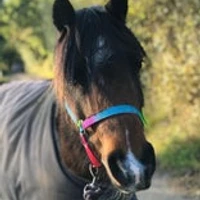 Lands End Equestrian Centre