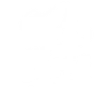 Sir Sam's Ski / Ride