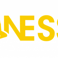 F Nesse Dance & Performance Studio
