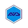AVS Engineering Co.