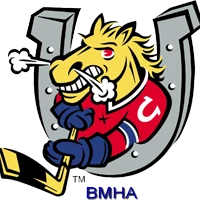 Barrie Minor Hockey Association