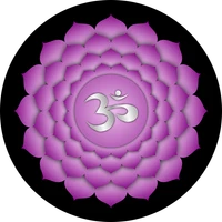 Vyasa Yoga Peeth