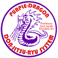 Purple Dragon Kitsilano Martial Arts