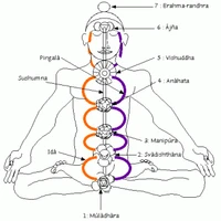 Yogam