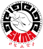 Shinseikyu Karate Academy