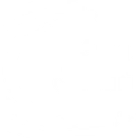 Compagnie Singulier Pluriel