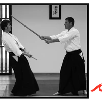 Aikido And Aikishintaiso À Céret