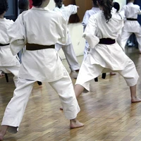 Karthika Karate Champion