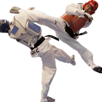 Gajok Taekwondo
