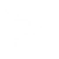 The Dance Place (Forum)