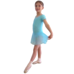 Redhurst Schools of Dancing