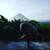 The Yoga Limb