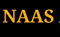 Naas AC