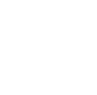 The Kendleshire
