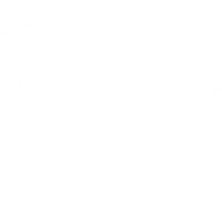 SET LDN