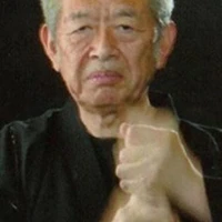 Shadow Warrior Bujinkan Dojo Kingston