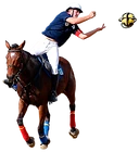 Stables Of Ulys