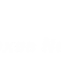 Foxes Netball