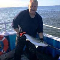BJR Marine - Norfolk Sea Fishing Trips
