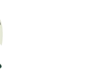 The Rug Lady - Cheltenham Horse Rug Repairs